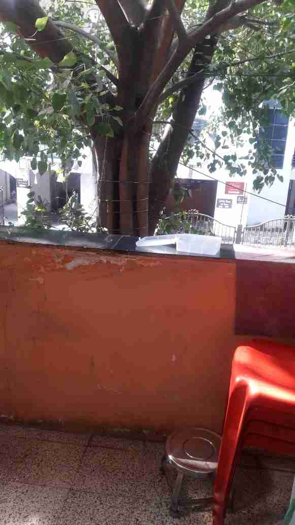 No Preference PG room in Koregaon Park, Pune – photo 4